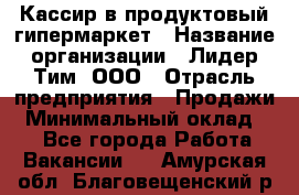 Кассир в продуктовый гипермаркет › Название организации ­ Лидер Тим, ООО › Отрасль предприятия ­ Продажи › Минимальный оклад ­ 1 - Все города Работа » Вакансии   . Амурская обл.,Благовещенский р-н